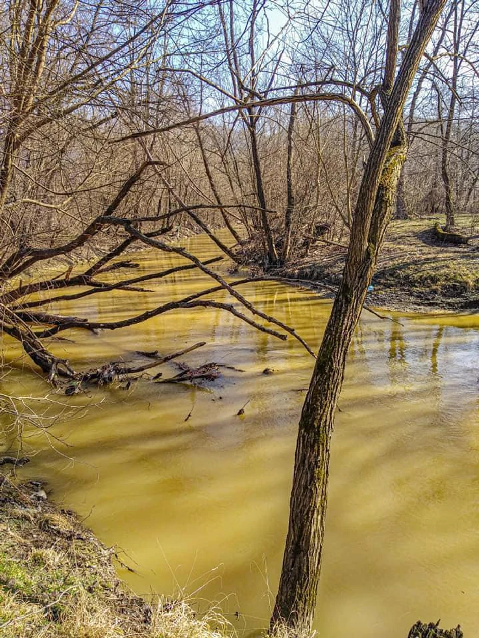Pek promenio Boju, u reci potvrđena drastično povećana koncentracija teških metala