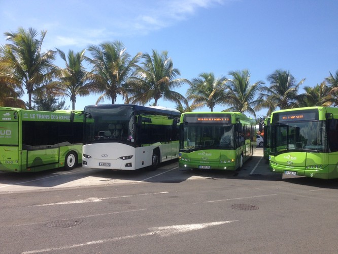 Reunion, terytorium zamorskie Francji. Na tej wyspie, która leży 200 km na południowy zachód od Mauritiusa i 700 km na wschód od wybrzeży Madagaskaru, spotkać możemy polskie solarisy. 12-metrowe pojazdy Urbino obsługują ruch głównie w Saint-Denis, stolicy wyspy. Pojazdy są wyposażone w klimatyzację przystosowaną do warunków tropikalny