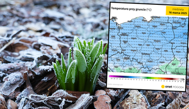 Silne przymrozki zaatakują Polskę. Temperatura nagle spadnie poniżej -5 st. C