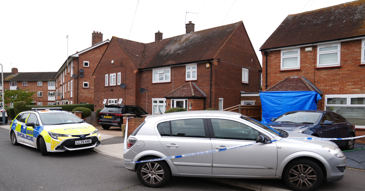Dog walker stabbed to death in Uxbridge as neighbors with bats save victim