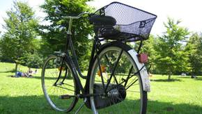 Die beliebtesten Fahrradkörbe für jeden Zweck im Vergleich