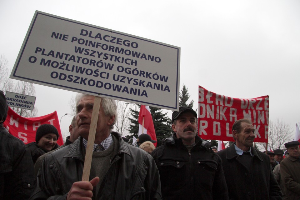 Protest hodowców ogórków