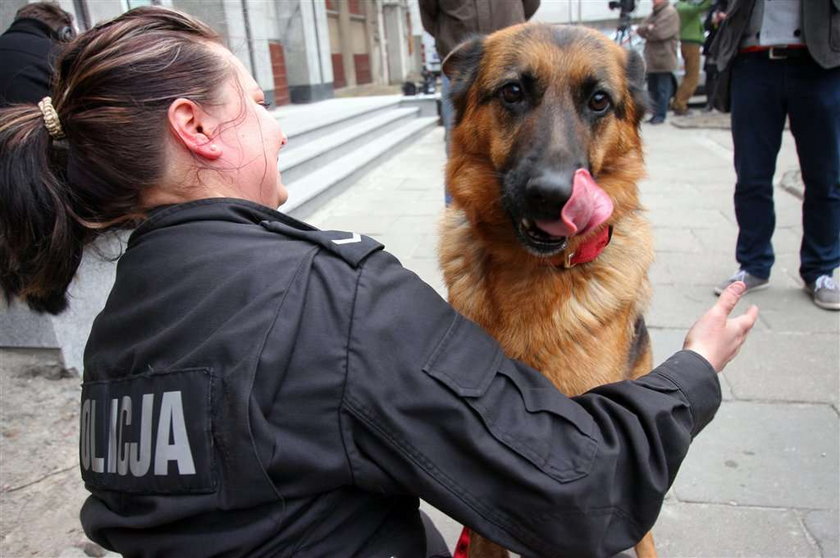 Są zarzuty dla porywacza Julki! Odpowie za...