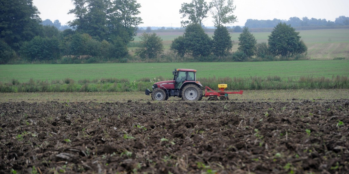 Ostatni dzwonek dla rolników. Mija termin składania wniosków o dopłaty