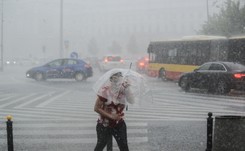 4 ofiary groźnych nawałnic nad Polską. Tysiące połamanych drzew, zablokowane drogi... ZDJĘCIA