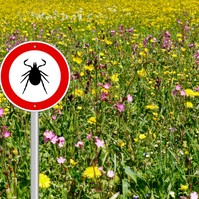 Kullancs-encephalitis: védekezzen a paraziták ellen védőoltással