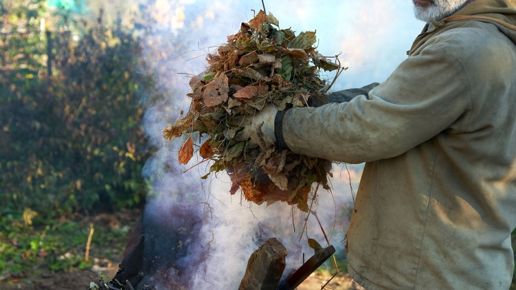 őszi avarégetés szennyezés veszély
