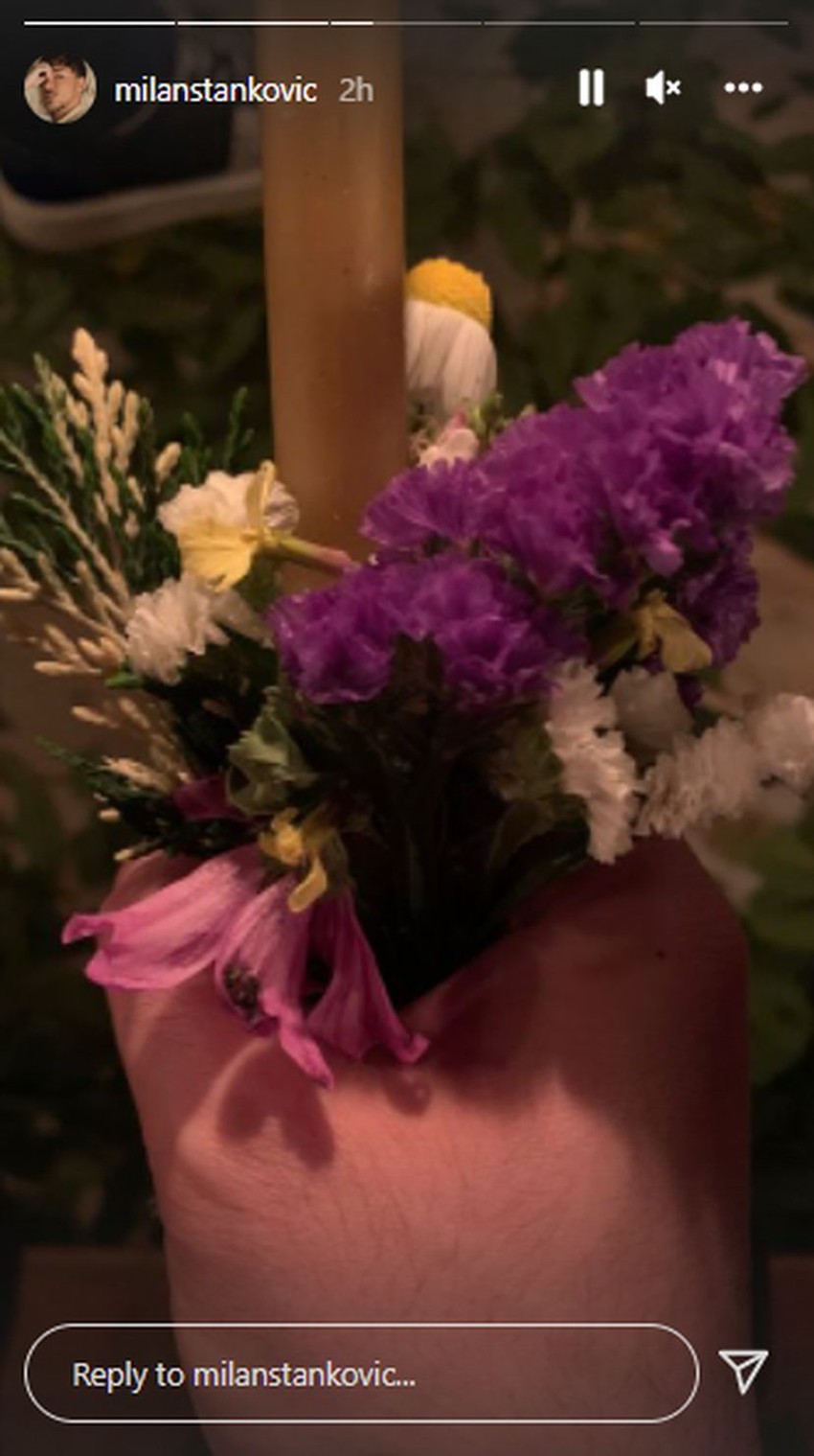 Milan Stanković na Hilandaru