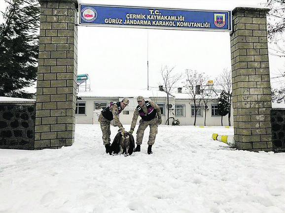 Iznemoglu na nepristupačnom terenu, našao ju je pastir koji nije mogao da pomogne, ali su u pomoć priskočili graničari