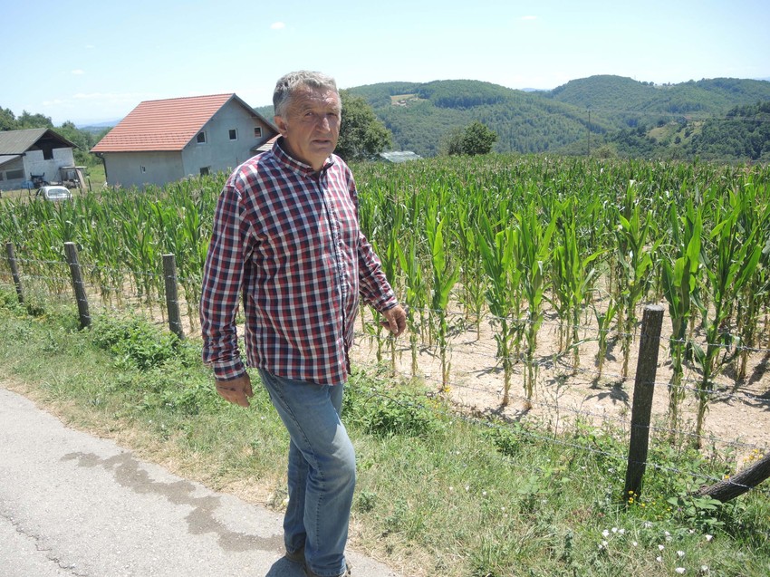 "Izdržaće, kukuruz je borac": Đoković kraj njive u Dubokom