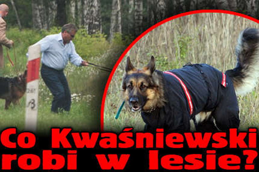 Co Kwaśniewski robi w lesie?