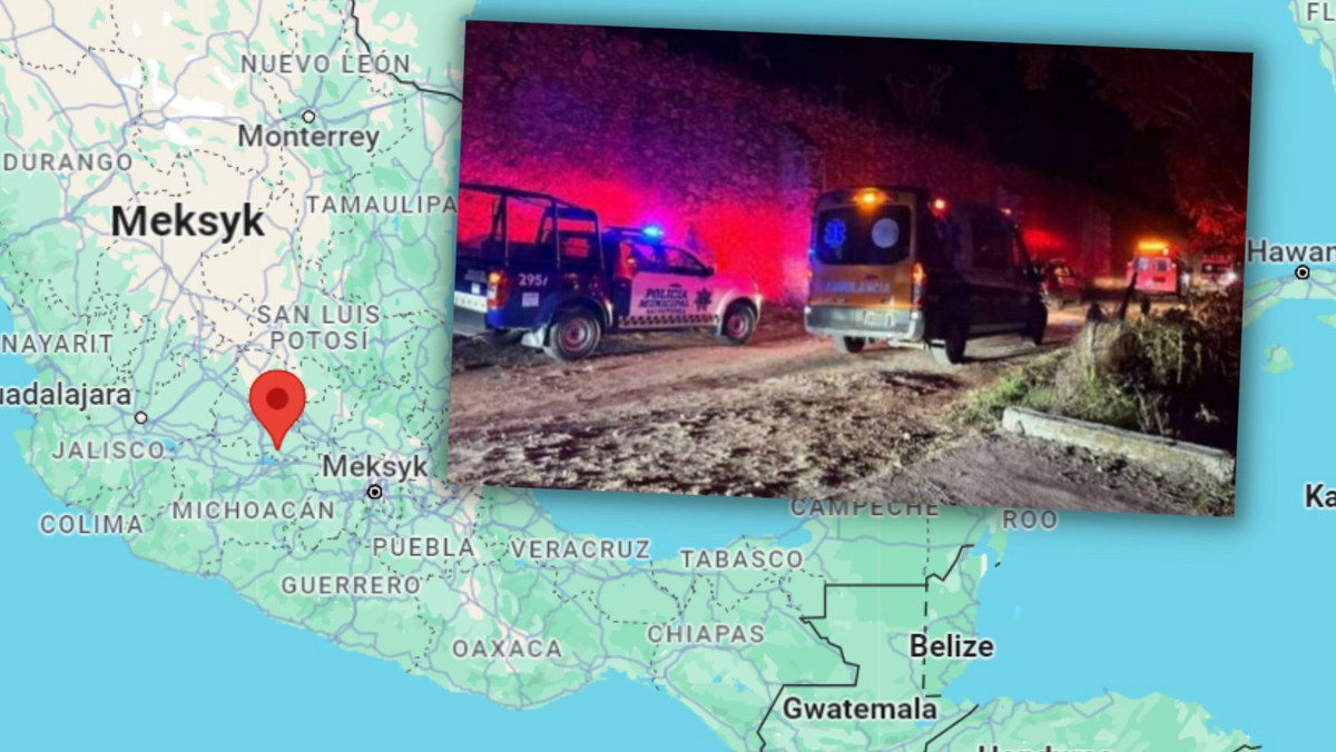 Przestępcy otworzyli w niedzielę ogień do osób zgromadzonych na tradycyjnej, bożonarodzeniowej uroczystości w stanie Guanajuato w środkowym Meksyku. Zginęło 12 osób, a kilkanaście innych jest rannych – poinformowały władze.