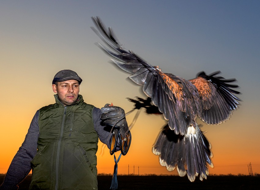 Sokolari Srbije u objektivu: Ovo je nedavno završeni projekat Zamurovića