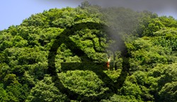 60 tys. zł pójdzie z dymkiem? Polski turysta słono zapłaci za wykroczenie