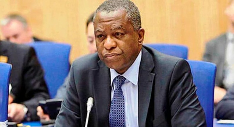 Minister of Foreign Affairs, Geoffrey Onyeama. [TheNiche]