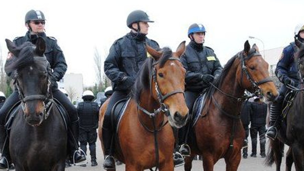 8 kwietnia zakończyła się coroczna atestacja policyjnych koni w Smardzewicach, gdzie mieści się Ogniwo Konne Wydziału Prewencji Komendy Powiatowej Policji w Tomaszowie Mazowieckim.