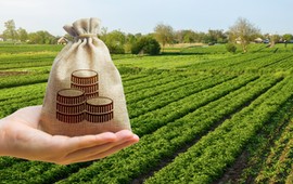 zaliczki-doplat-bezposrednich-2025-ktorzy-rolnicy-dostana-pieniadze-pierwsi