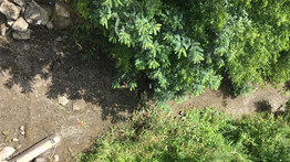 Összefogtak a környezetvédők a pocsolyává száradt, lerabolt Tarna folyóért: puszta kézzel bontották szét a gátat