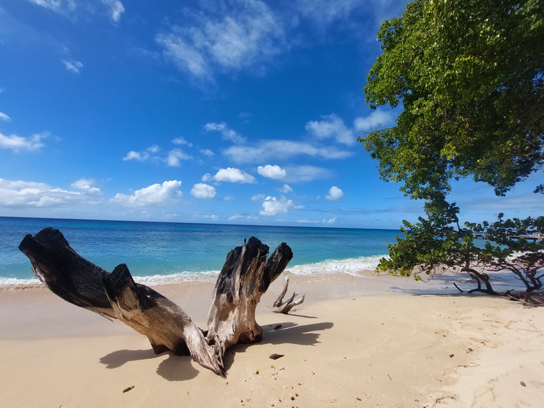 Barbados, Speightstown