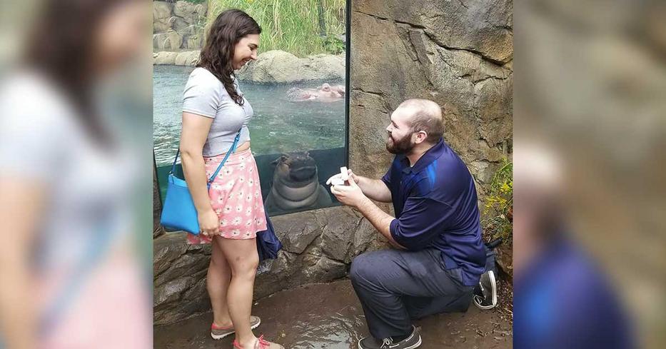 A férfi az állatkertben kérte meg a barátnője kezét. Néhány órával később döbbenetes részletet látnak a képen