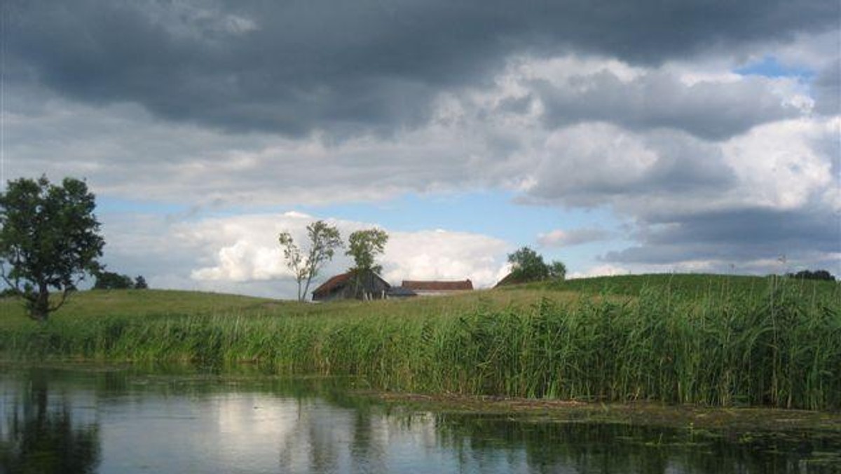 Grzegorz Tarasów