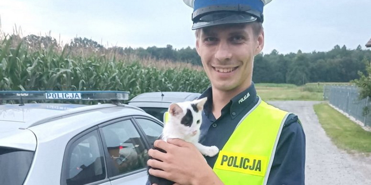 Cieszyn. Policjant uratował zagubionego kotka. Maluch skradł mu serce.