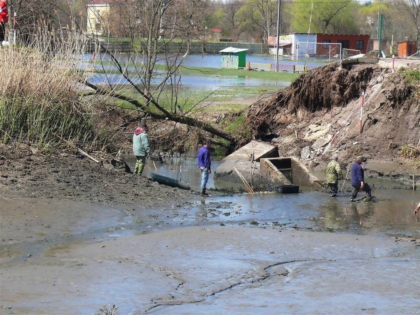 Bobry ukradły jezioro