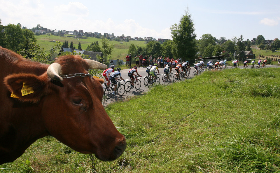 KOLARSTWO TOUR DE POLOGNE SZÓSTY ETAP