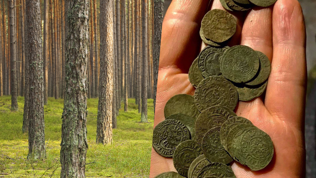 W lesie pod Toruniem znaleziono skarb. Ma ponad 500 lat