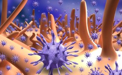 W ludzkich jelitach naukowcy zidentyfikowali ponad 140 tys. gatunków wirusów