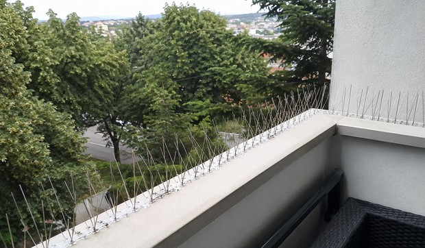 Zaštita od ptica na balkonu