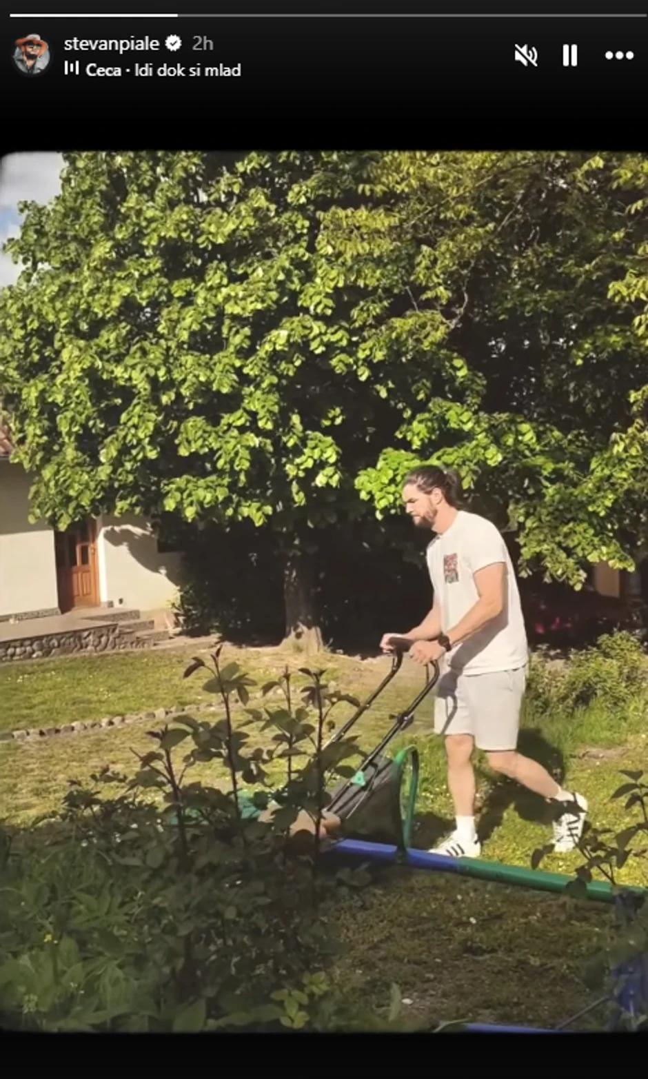 Stevan Piale kosi travu