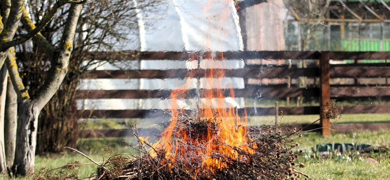 30 tysięcy złotych kary za porządki w ogrodzie? Tego sposobu unikaj jak ognia