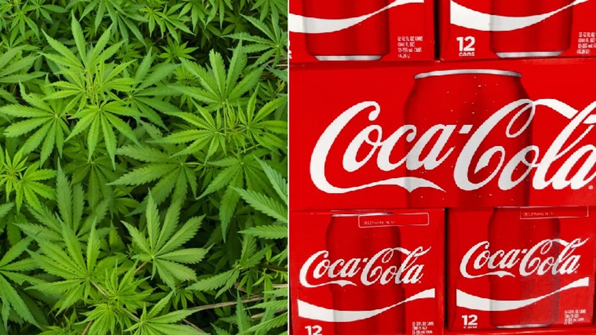 Cherry Coke jest już passé. Coca-Cola chce wprowadzić napój z konopiami