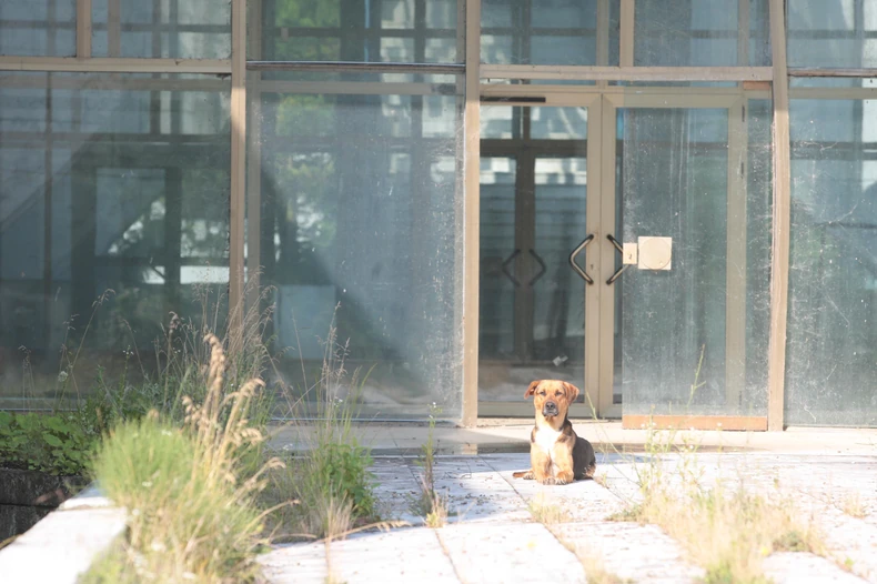 Objekti Kuršumlijske Banje su van funkcije od 2006. godine