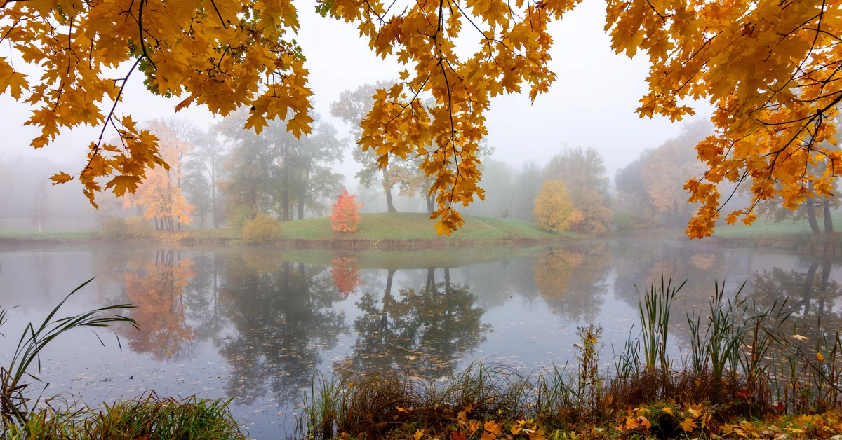 Jaka będzie pogoda w niedzielę? Oto prognoza na 9 listopada 2025