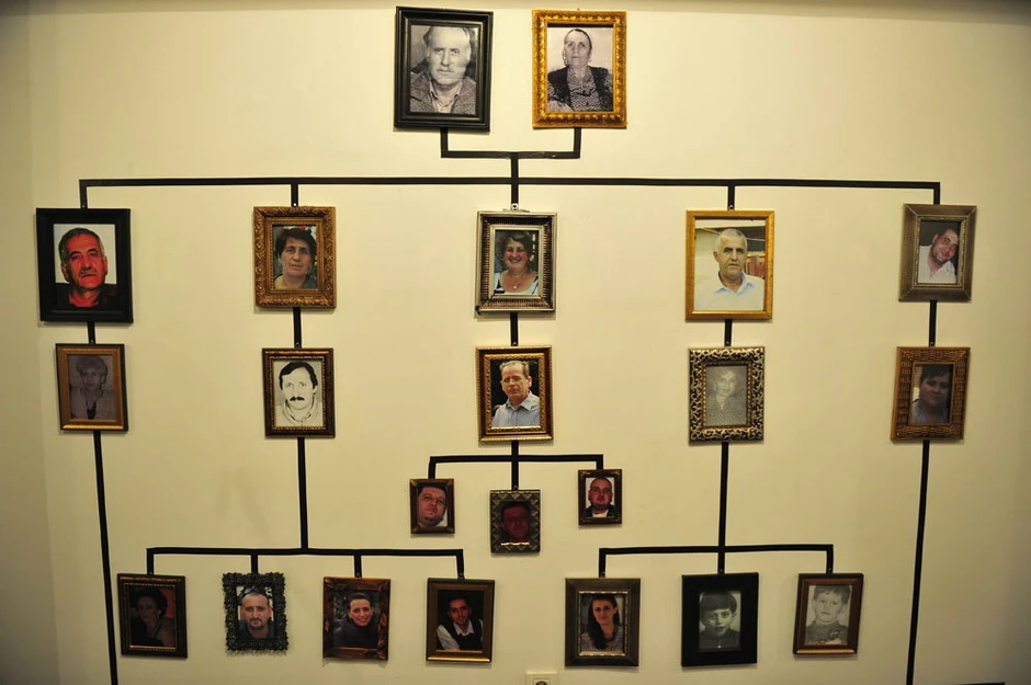 Porodično stablo i crno - bele fotografije onih kojih više nema