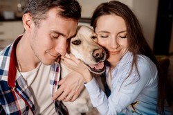 Wielki quiz o psach na piątek. 10/10 zdobędą najwięksi wielbiciele czworonogów