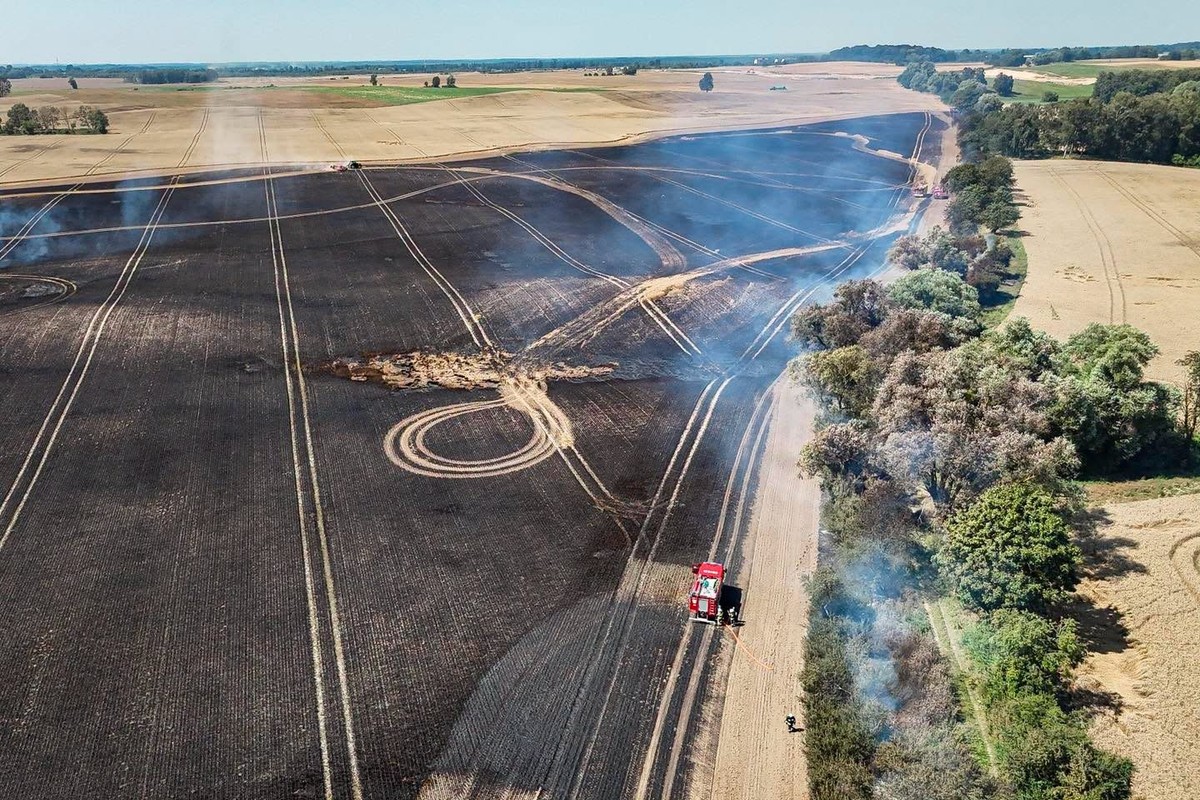 Gigantyczny pożar pszenicy pod Reczem. Skierowali do akcji samoloty. Pola kompletnie spustoszone