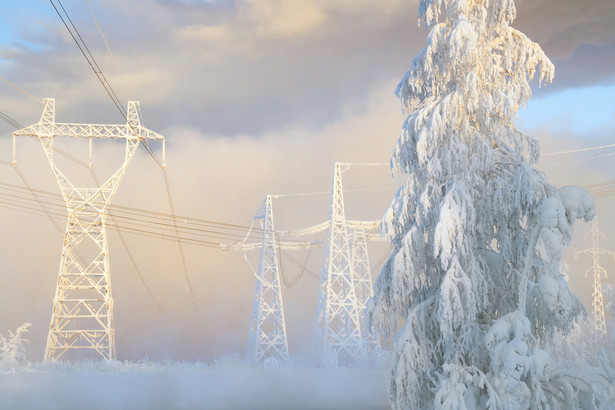 Kataklizm nawiedził Kanadę. Spadł mokry, ciężki śnieg, uszkodził wiele linii energetycznych