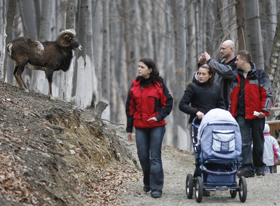 USTROŃ LEŚNY PARK NIESPODZIANEK ZWIERZĘTA