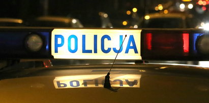 Policja z Pabianic szuka mordercy kotów. Nie miał litości. To co zrobił było potworne