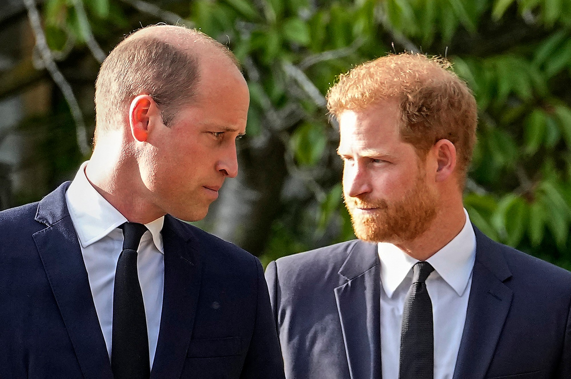 Princ Harry s bratom Williamom. 