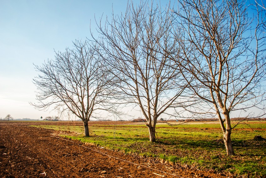 Na konkursu za Najdomaćina prijavljeno preko 400 gazdinstava