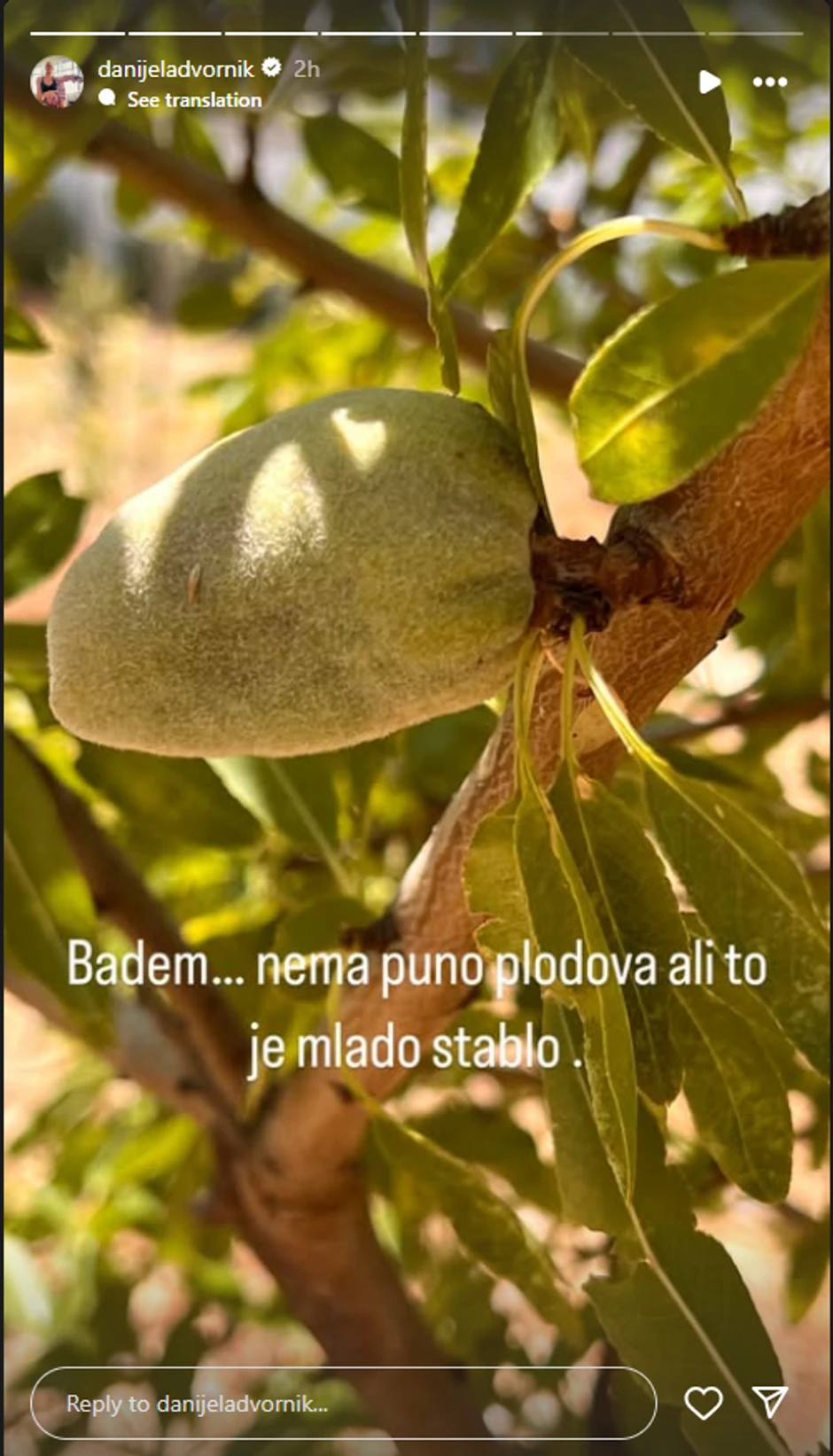 Danijela Dvornik se pohvalila plodovima iz voćnjaka