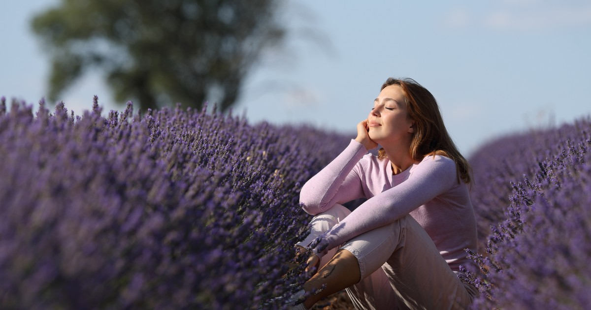 Smell secrets.  The sense of smell can bring back memories.  how did that happen?