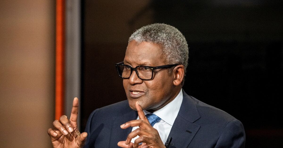 Africa’s richest man unveils plans to expand into steel, power, and ports