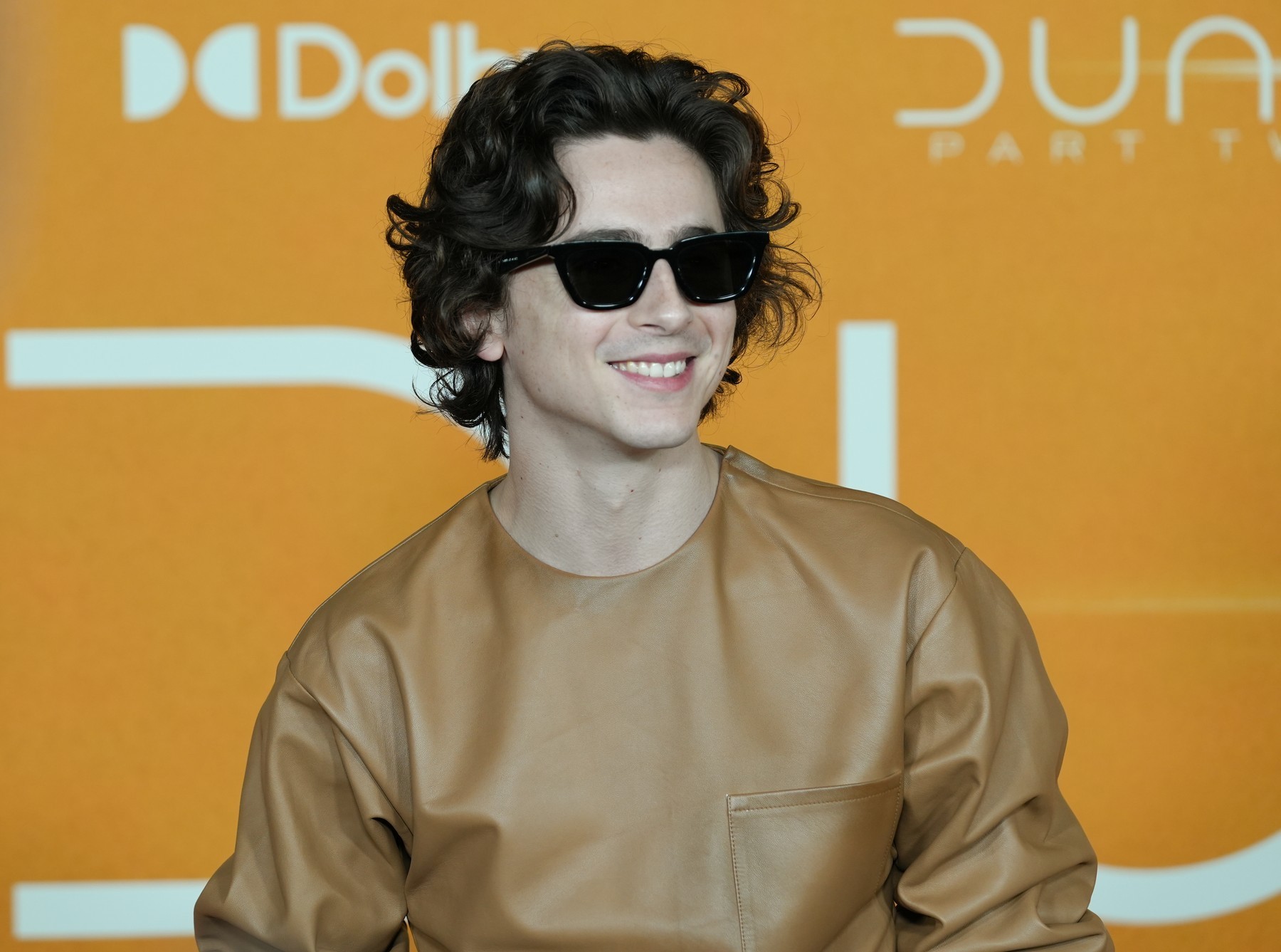 Americko-francúzsky herec Timothée Chalamet.