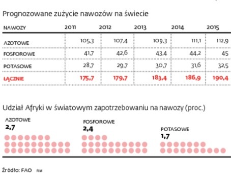 Afrykański rynek z perspektywami (2)