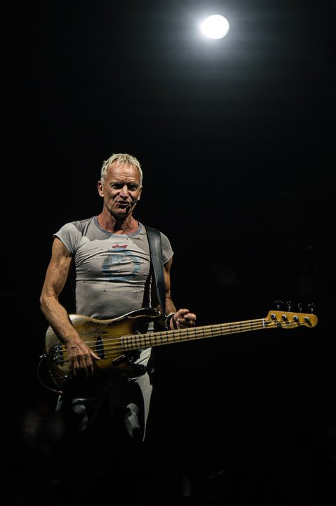 Sting w krakowskiej TAURON Arenie